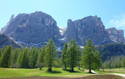 Apartamento Residence Ciasa Dl Mone