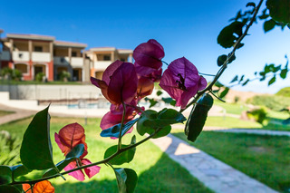 Apartamento Residenza Le Farfalle