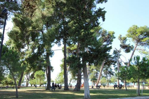 Apartamento Gianna N2, 600 M From The Beach