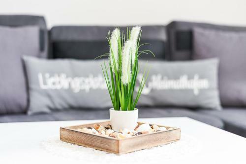 Apartamento Ferienwohnungen Haus Boje