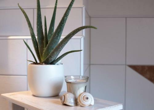 Apartamento Moderne, Gem�tliche Dg-wohnung In Ruhiger Lage