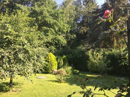 Holzhaus Trollbl�mchen Am Wald Und See