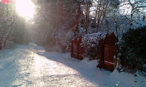 Holzhaus Trollbl�mchen Am Wald Und See