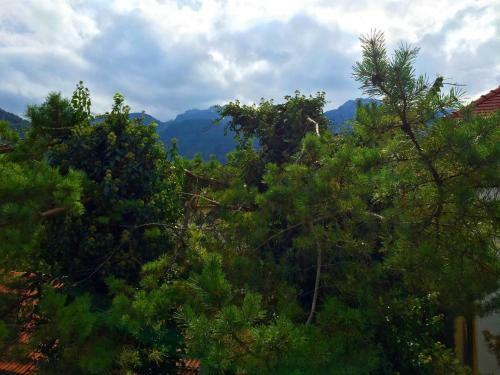 Apartamento Ciao-aschau Fewo Fey