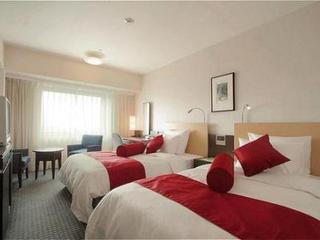 Hotel Ana Crowne Plaza Narita