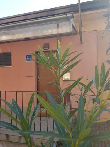 Sunny Apartment 150 M From The Sea