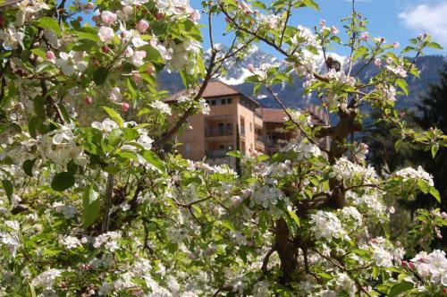 Apartamento Appartementhaus Am Waalweg