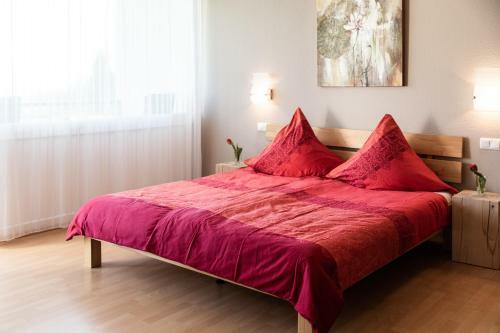 Apartment "k�hler" Mit Berg- Und Bodenseesicht