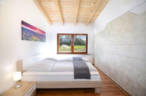 Apartamento Flat Strasbourg - Europapark / Wallaston