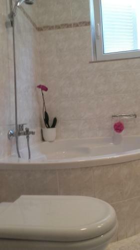 Apartment Bojana