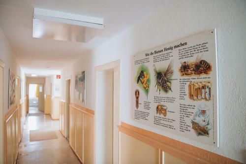Xxl Ferienhaus Dierhagen Strand