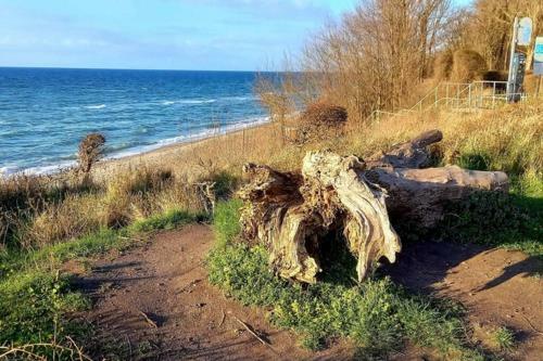 Apartamento ... Die Ostsee Direkt Vor Der T�r
