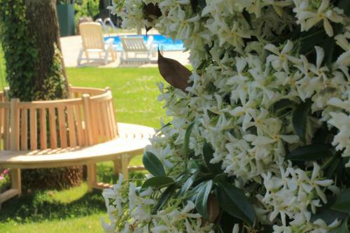 Agroturismo Country Home Milojevic