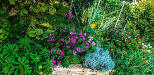 Agroturismo Country Home Milojevic