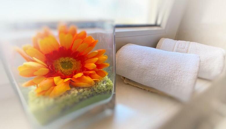 Bed & Breakfast Villa Osipovica