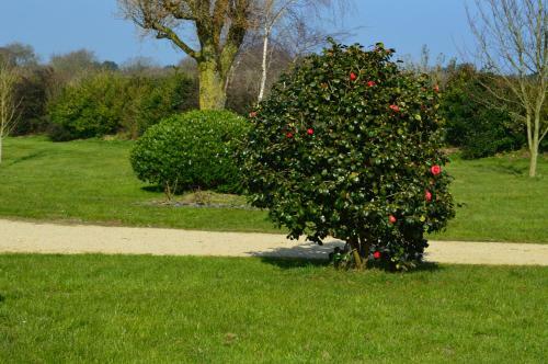 Bed & Breakfast Manoir De Lesplouenan