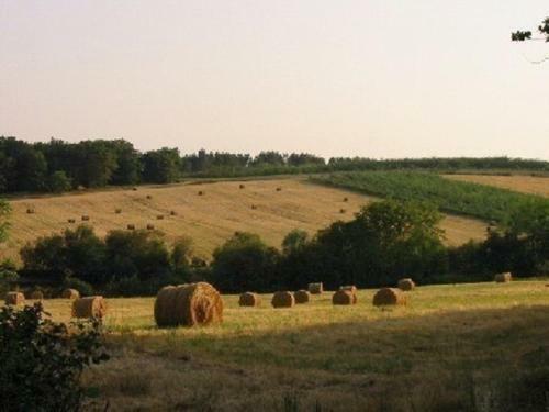 Bed & Breakfast La Musardi�re