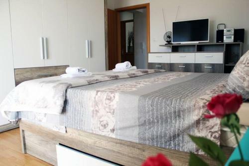 Holiday Apartments With Sea View