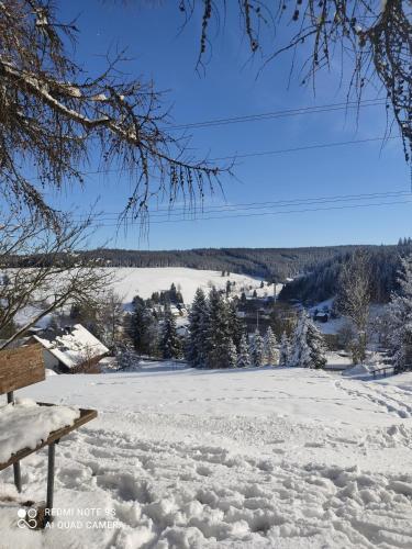 Apartamento G�stehaus Piesau