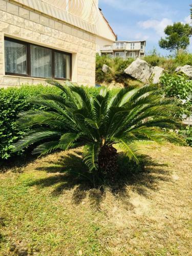 Apartamento Ferienwohnung Lucija