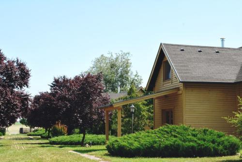 Bed & Breakfast Matk� Airport �s �lm�nyk�zpont