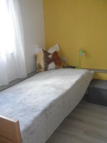 Apartamento Drahtesel Oase