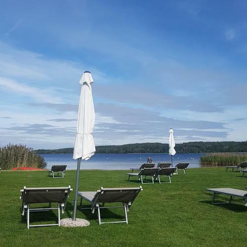 Apartment Altes Pfarrhaus In Plau Am See
