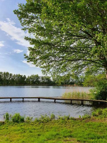 Apartment Altes Pfarrhaus In Plau Am See