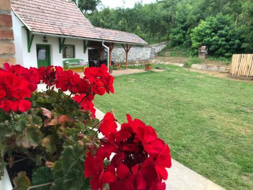 Apartamento Zulejka Vend�gh�z