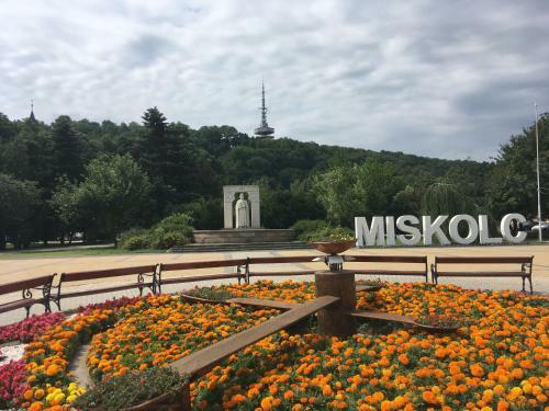 Mse Apartman