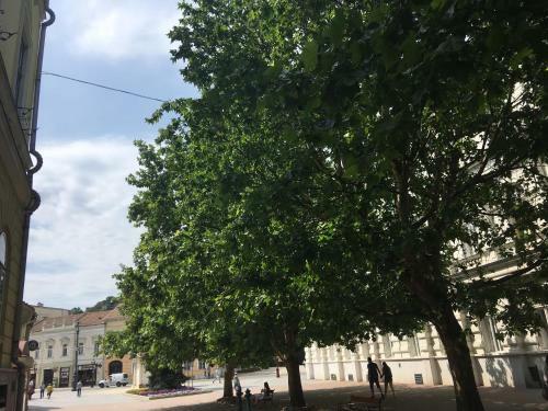 Mse Apartman