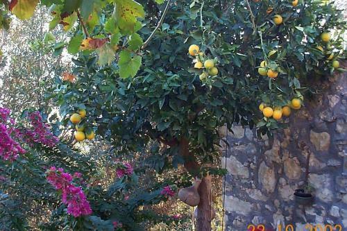 Comfortable Family House Nearby Mirtos