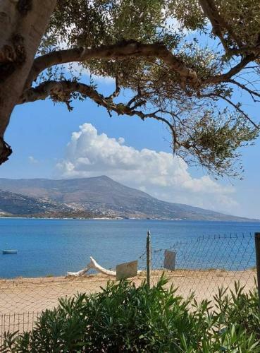 Villa By The Sea