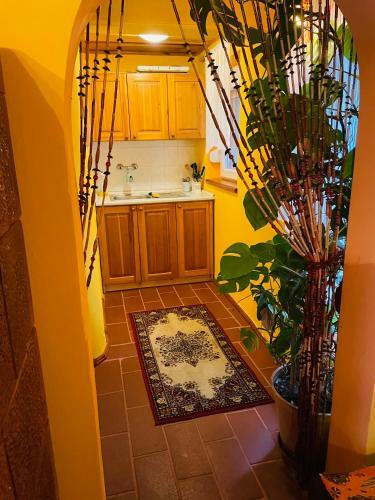 Apartamento No� B�rk�ja Vend�gh�z
