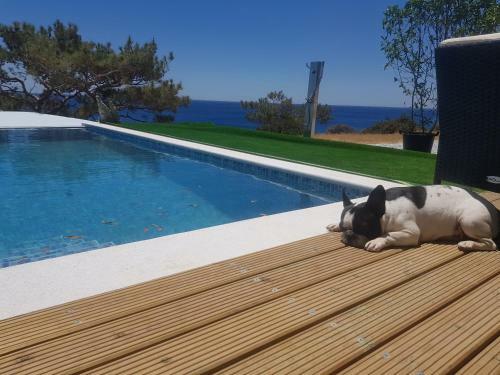 Villa Ocean Island Angelina