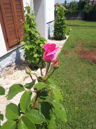 Country House Balaton
