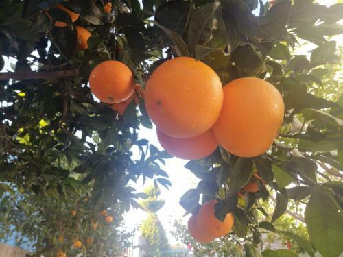 Apartamento Ferienhaus Athens Marmor Garden