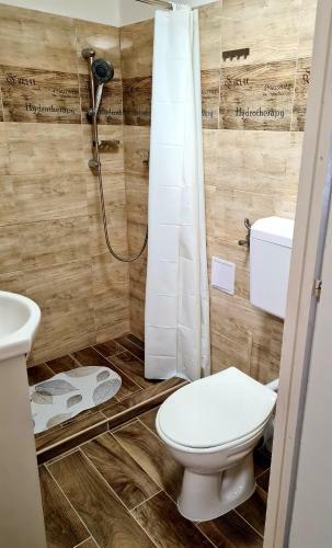 Hostal H�cza House Poroszl�
