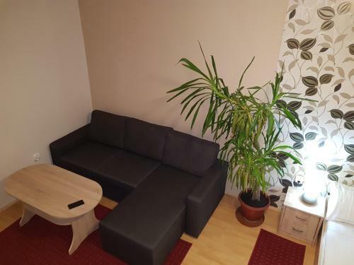 Coral Apartman