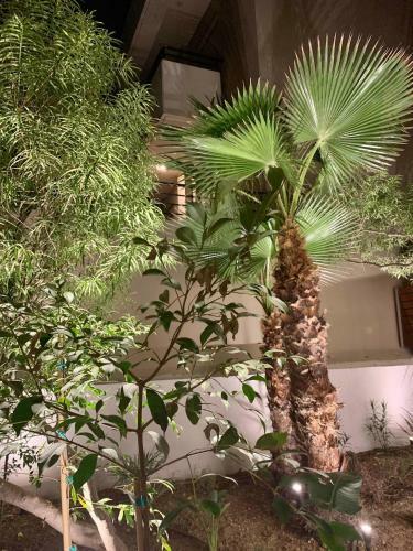 Apartamento Pavo Art Hotel