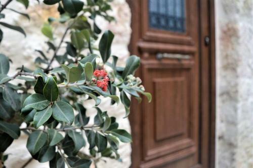 Apartamento Malama's Maisonette At The Historic Center