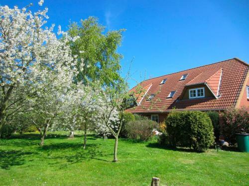 Apartamento Ferienhof B�hnke Nr3