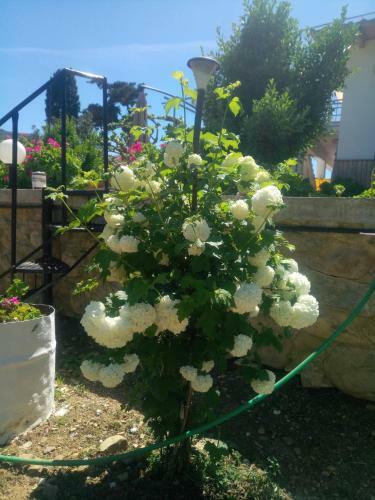 Apartamento Guesthouse Dramoundana