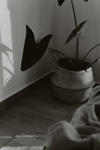 Apartamento Casa Costa Suites