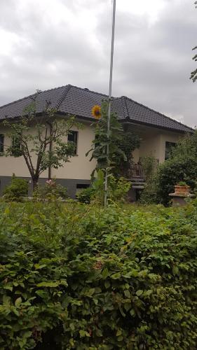 Apartamento Ferienwohnung " Am Schlosspark "