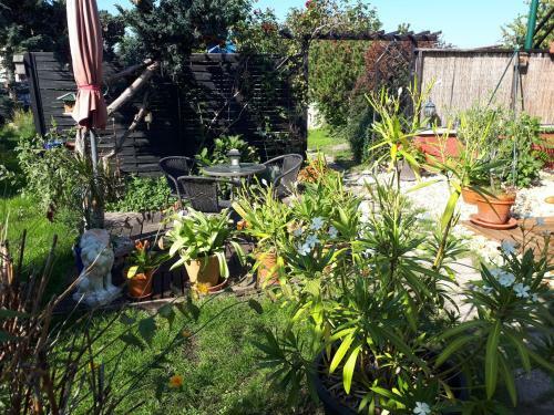 Apartamento Ferienwohnung Am Hausberg In Radebeul