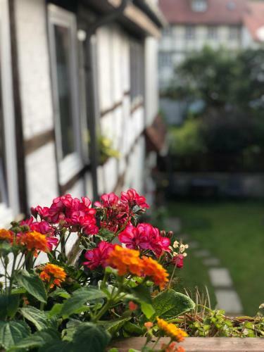 Apartamento Am Mathildenbrunnen Klein