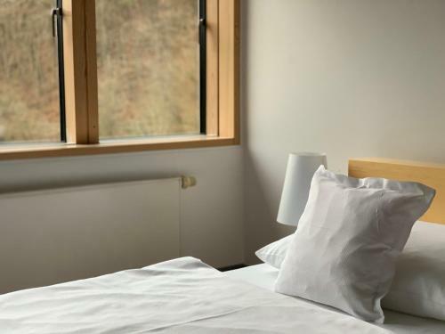 Hotel Seehaus Forelle Haeckenhaus