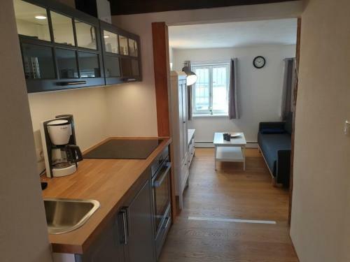 Apartamento Torhaus Rattelsdorf - Wohnung Edelwei�