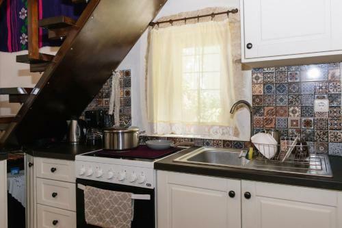 Casa Vasilia Traditional Home